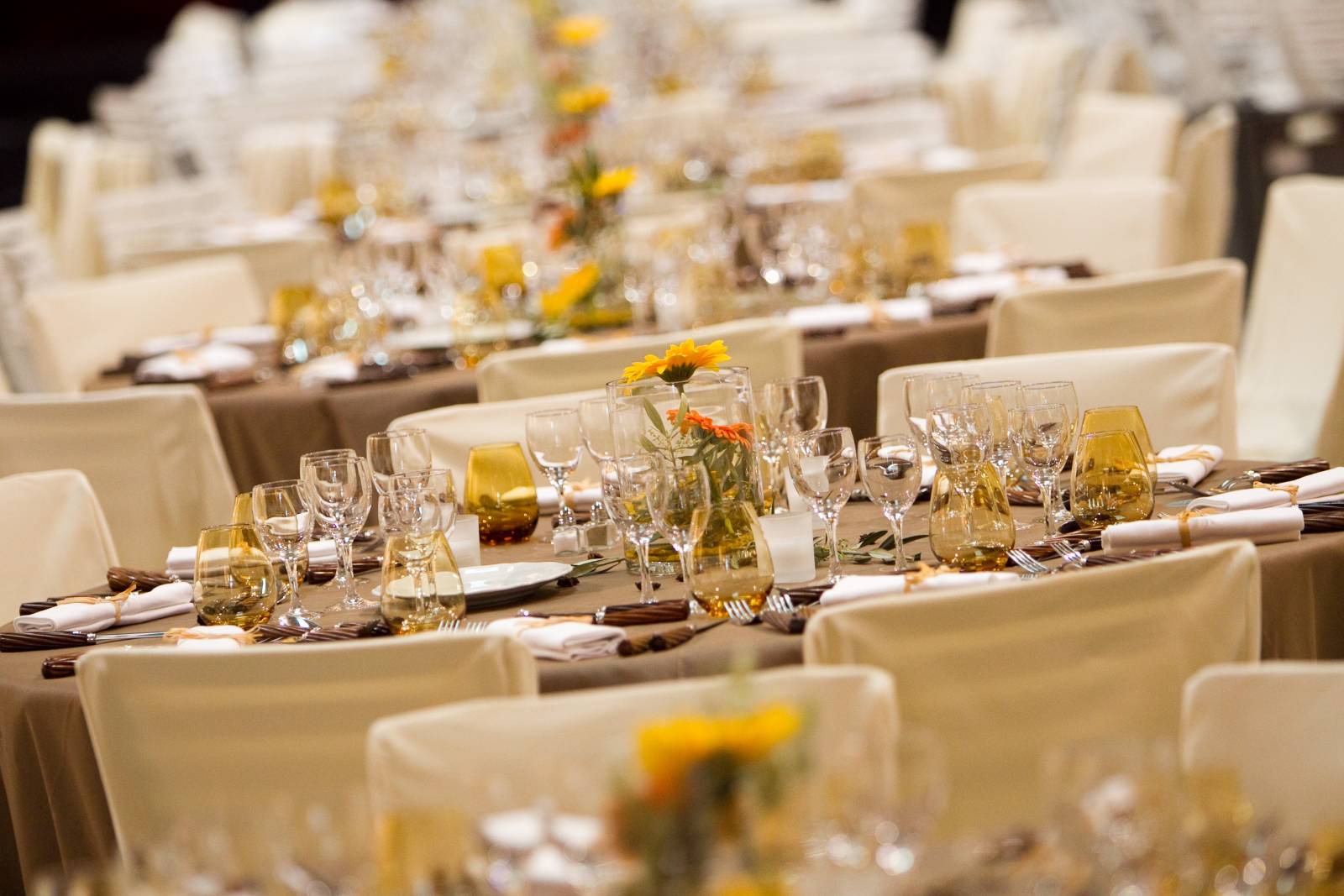 Organisation d'une soirée d'inauguration d'une usine à Fos sur Mer proche de Marseille