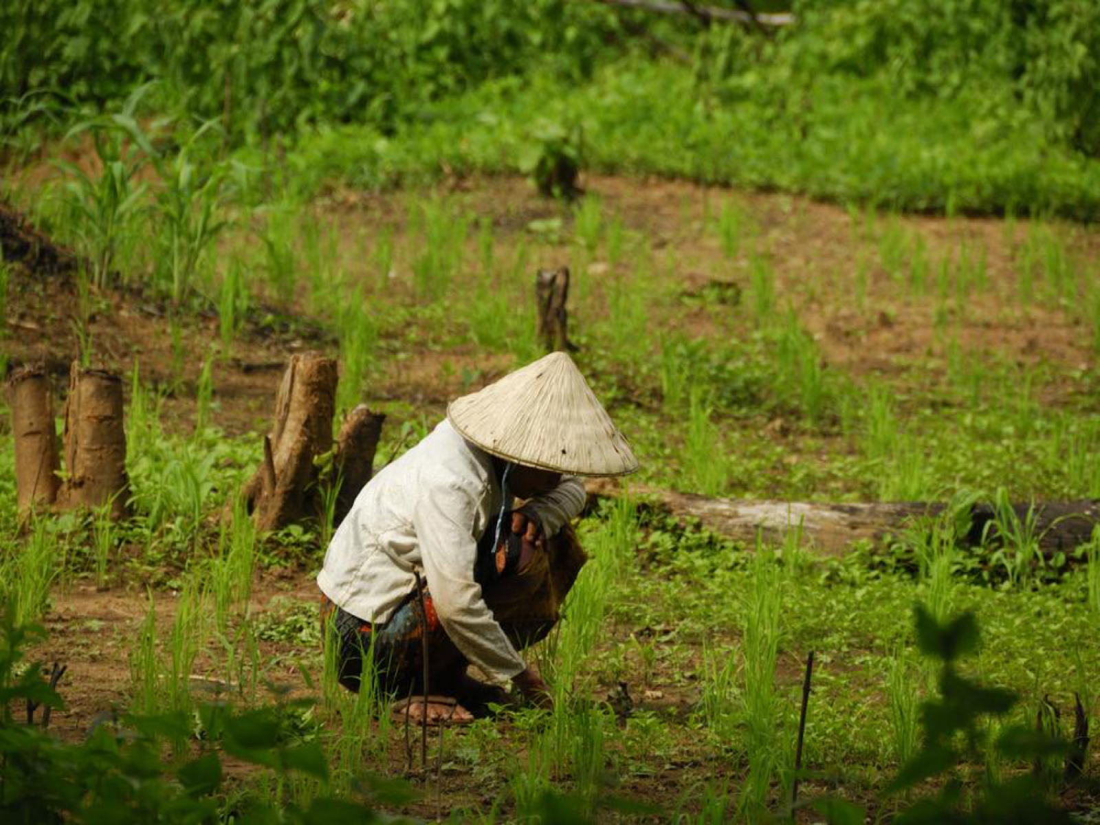 Agence de voyages à Marseille pour organisation voyage de groupe en Asie du Sud-Est