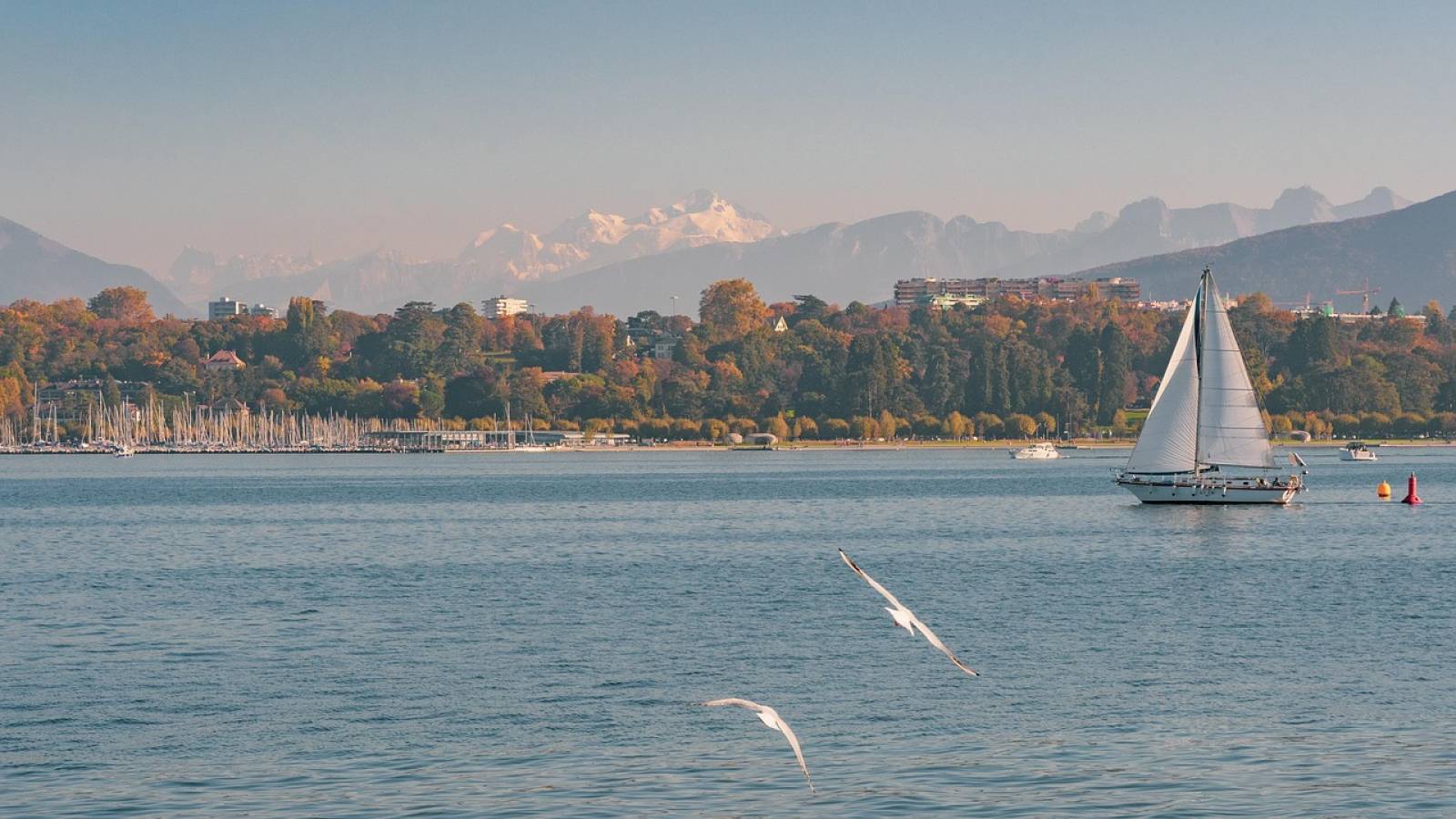 Séminaire professionnel à Genève (Suisse) : lieux prestigieux et activités pour renforcer la cohésion