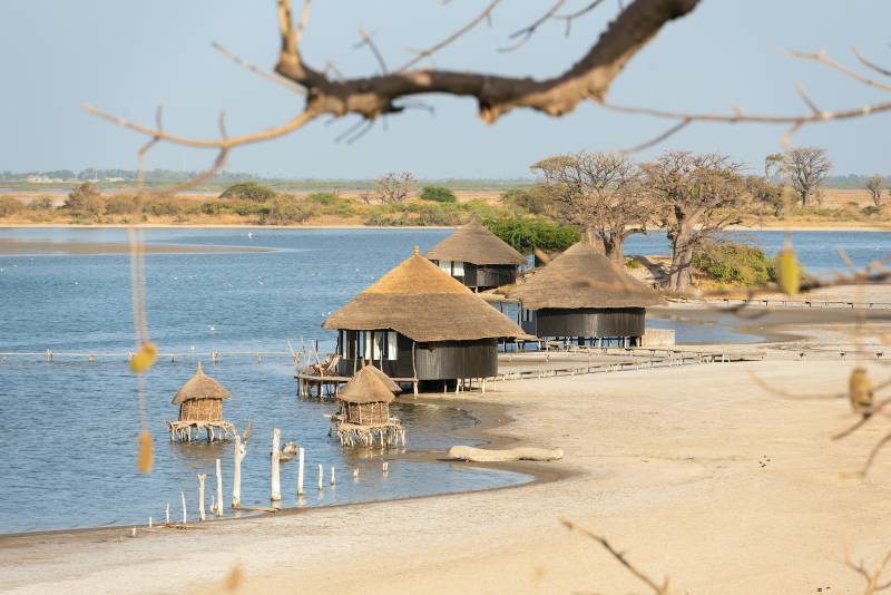 Pourquoi choisir le Sénégal pour votre prochain team building et séminaire d'entreprise ?