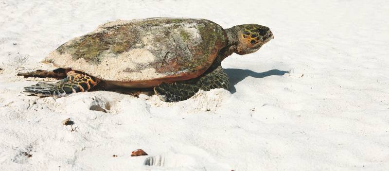 agence événementielle basée à Marseille pour organiser votre séjour à l'étranger aux Seychelles