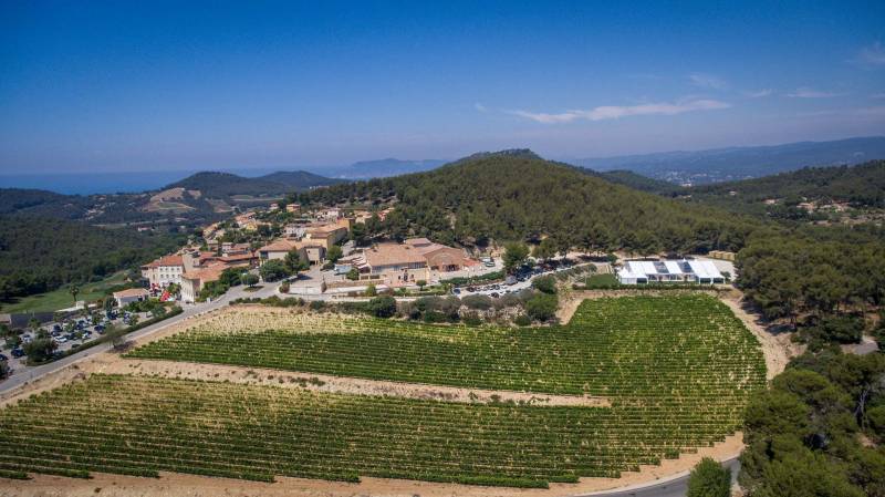Agence événementielle organise votre séminaire dans un domaine viticole en Provence