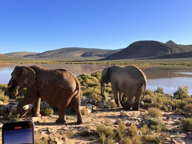 Voyage incentive en Afrique du Sud. 