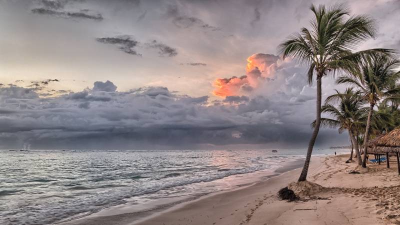 Séminaire dans les Caraïbes : La République Dominicaine, un Choix Stratégique pour les Entreprises