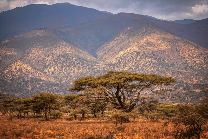 Séjournez au coeur de la Savane, au milieu de réserves naturelles protégées avec Yellow Wings 