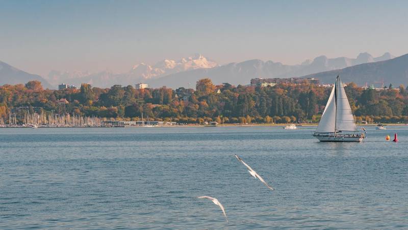 Séminaire professionnel à Genève (Suisse) : lieux prestigieux et activités pour renforcer la cohésion