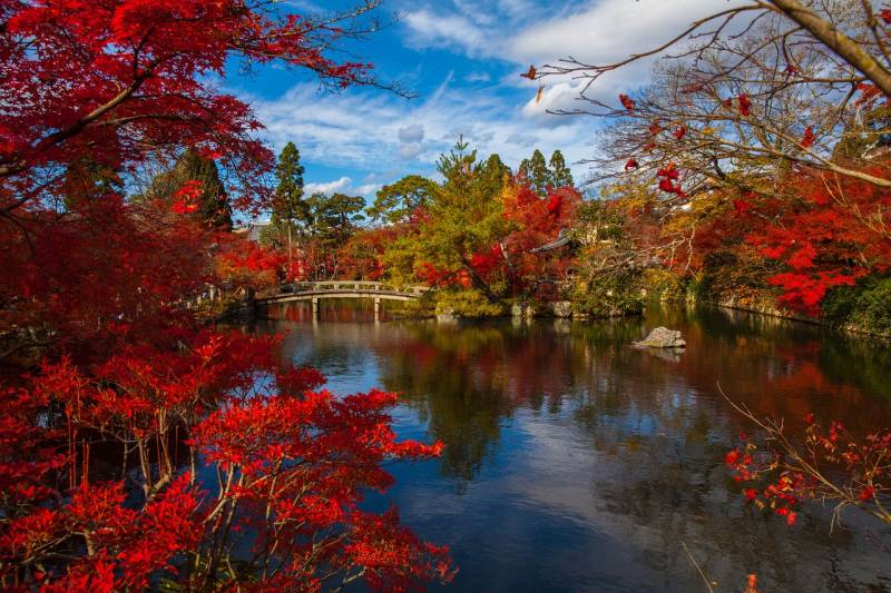 Tokyo : une destination d’exception au Japon pour vos séminaires d’entreprise