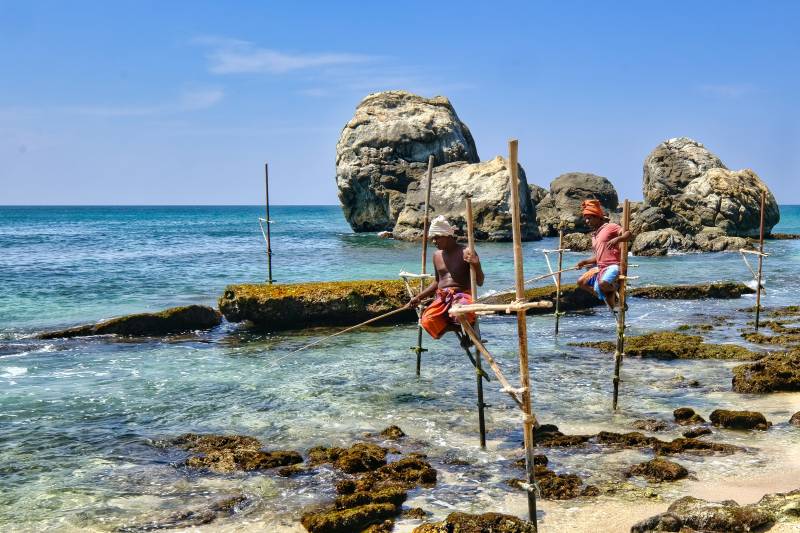 Voyages de groupe pour CSE : un séjour découverte au Sri Lanka pensé pour les comités d’entreprise, associations ou collectivités