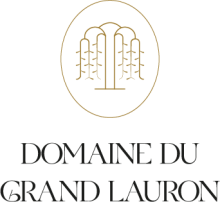 Lieu de réception pour mariage en Provence dans le Lubéron Lubéron / Aix en Provence Domaine du Grand Lauron